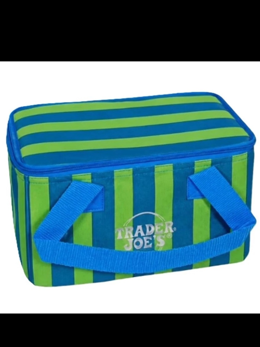 Trader Joe's green & blue Striped Mini Insulated tote Summer fun collection